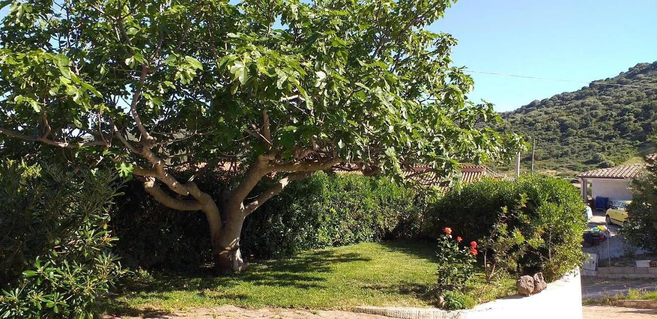 Casa Orvile San Lorenzo  Appartamento San Lorenzo (Budoni)
